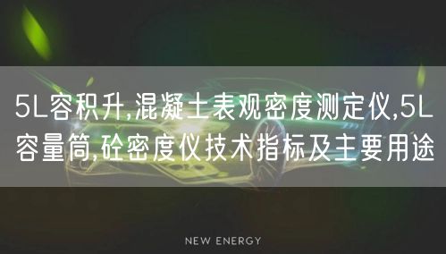 5L容積升,混凝土表觀密度測定儀,5L容量筒,砼密度儀技術指標及主要用途(圖1)