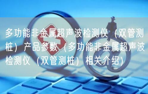 多功能非金屬超聲波檢測(cè)儀（雙管測(cè)樁）產(chǎn)品參數(shù)（多功能非金屬超聲波檢測(cè)儀（雙管測(cè)樁）相關(guān)介紹）(圖1)