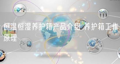 恒溫恒濕養(yǎng)護箱產品介紹 養(yǎng)護箱工作原理(圖1)