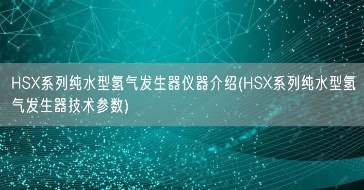 HSX系列純水型氫氣發(fā)生器儀器介紹(HSX系列純水型氫氣發(fā)生器技術參數(shù))(圖1)