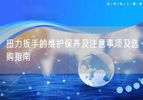 扭力扳手的維護(hù)保養(yǎng)及注意事項(xiàng)及選購指南(圖1) 扭力扳手的維護(hù)保養(yǎng)及注意事項(xiàng)及選購指南(圖1)