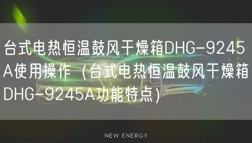臺式電熱恒溫鼓風干燥箱DHG-9245A使用操作（臺式電熱恒溫鼓風干燥箱DHG-9245A功能特點）(圖1)