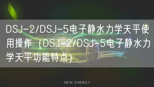 DSJ-2/DSJ-5電子靜水力學天平使用操作（DSJ-2/DSJ-5電子靜水力學天平功能特點）(圖1)