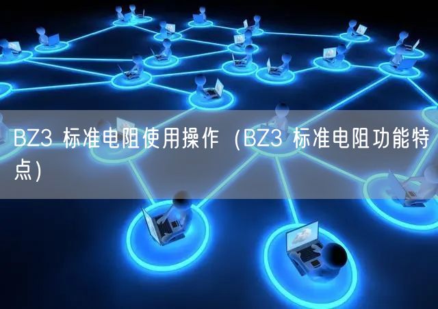 BZ3 標(biāo)準(zhǔn)電阻使用操作（BZ3 標(biāo)準(zhǔn)電阻功能特點）(圖1)